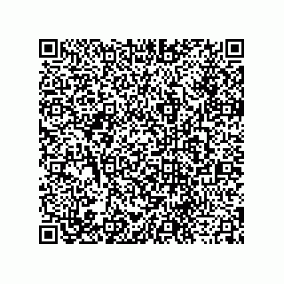 vCard 73916565387