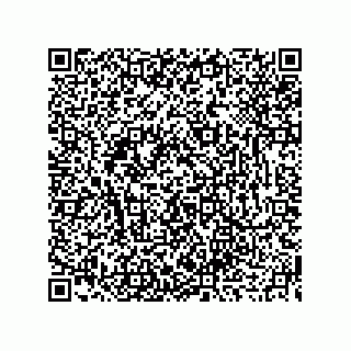 vCard 73916794313