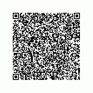 vCard 73919520138