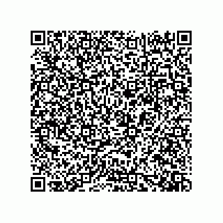vCard 73919528013