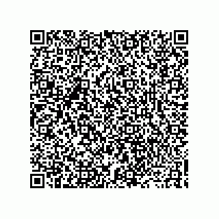 vCard 73919528020