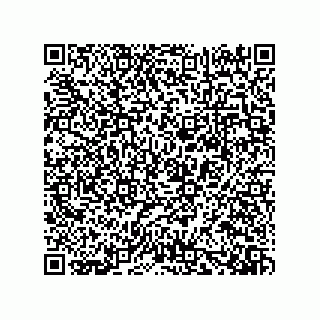 vCard 73919528031