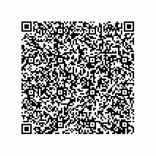 vCard 73919528032