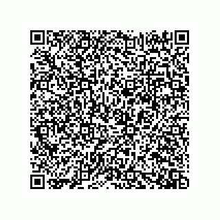 vCard 73919528049
