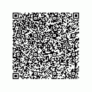 vCard 73919528063