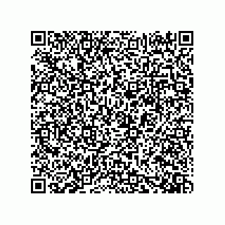 vCard 73919528065