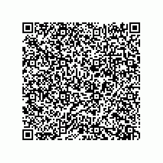 vCard 73919528079