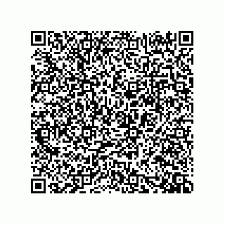 vCard 73919528087