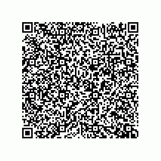 vCard 73919528089