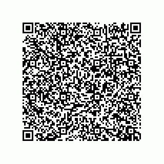 vCard 73919528091
