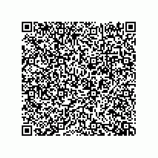 vCard 73919528095