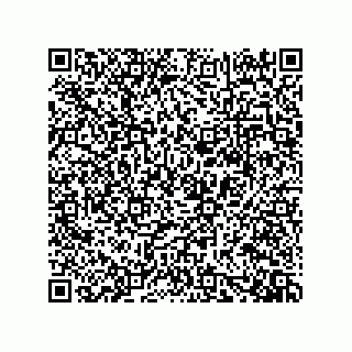 vCard 73919528097