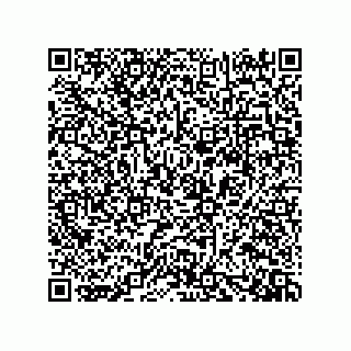 vCard 73919528099