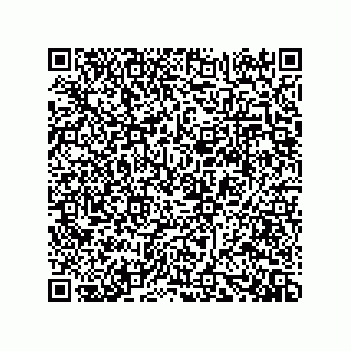 vCard 73919528100