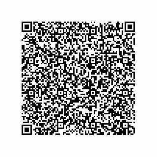 vCard 73919528114