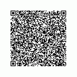 vCard 73919528119