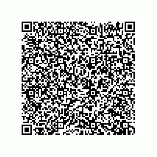 vCard 73919528129
