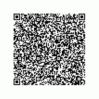 vCard 73919528131