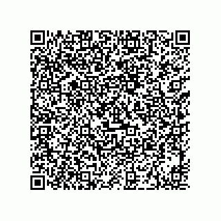 vCard 73919528133