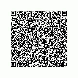 vCard 73919528134