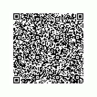 vCard 73919528141
