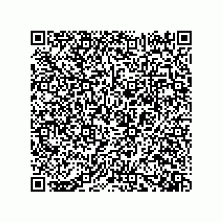 vCard 73919528153