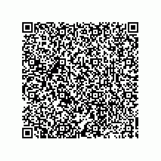 vCard 73919528171