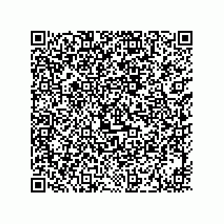 vCard 73919528187