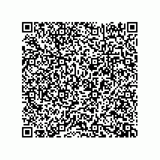 vCard 73919528197