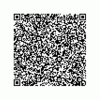 vCard 73919528206