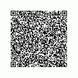 vCard 73919528207