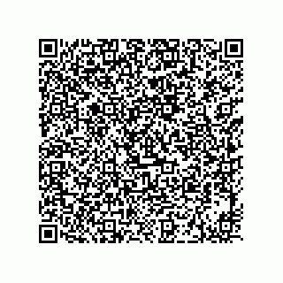 vCard 73919528209