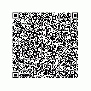 vCard 73919528211