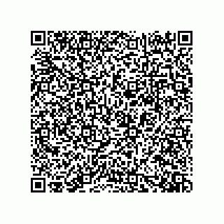 vCard 73919528217