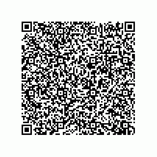 vCard 73919528225