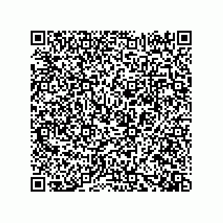 vCard 73919528240