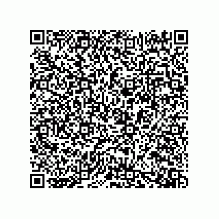 vCard 73919528255