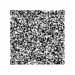 vCard 73919528256