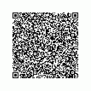vCard 73919528265