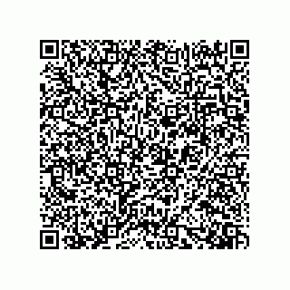 vCard 73919528272