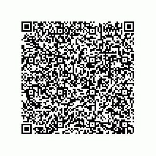vCard 73919528295
