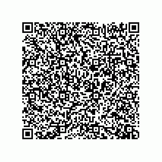 vCard 73919528303