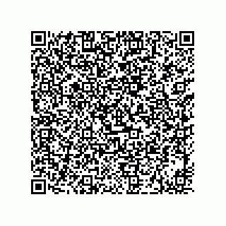 vCard 73919528313