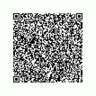 vCard 73919528317