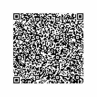vCard 73919528320
