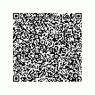 vCard 73919528329