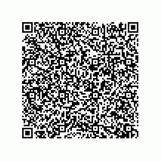 vCard 73919528333