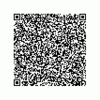 vCard 73919528334