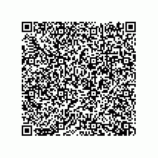 vCard 73919528335