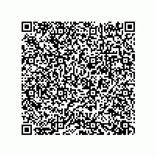 vCard 73919528339